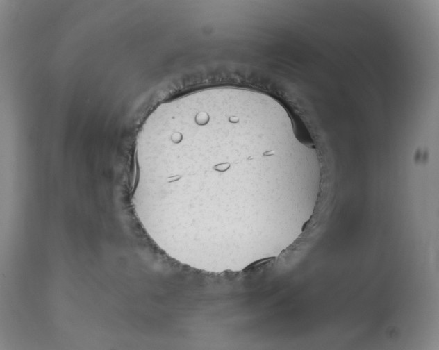 X0000113160192200909251402