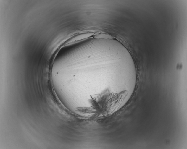 X0000113160194200909251401