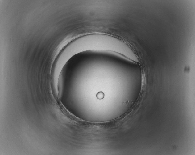 X0000113160195200909251401