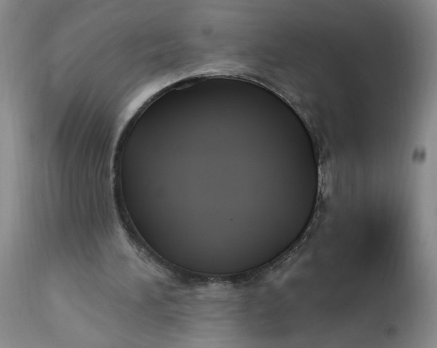 X0000113160196200909251401