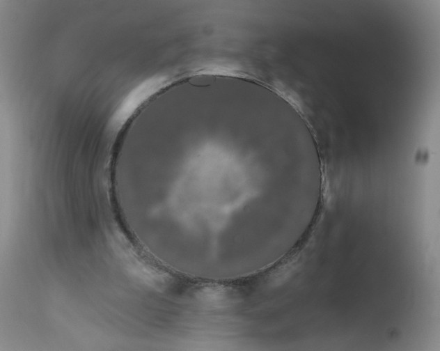 X0000113160199200909251401