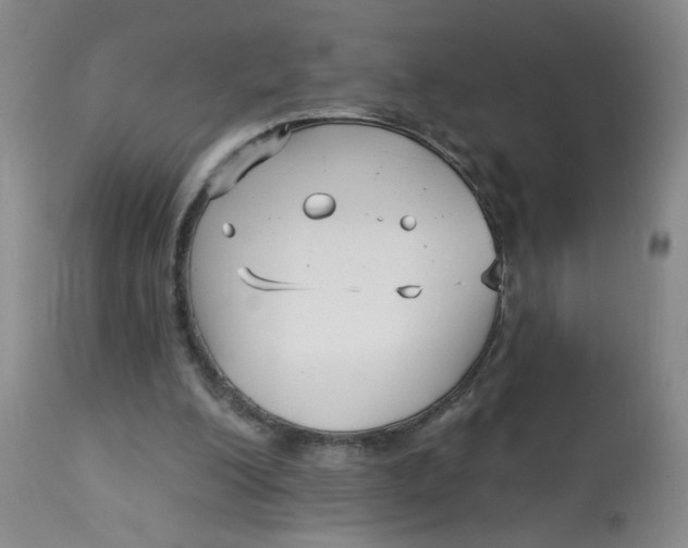 X0000113160200200909251401