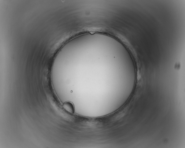 X0000113160201200909251401