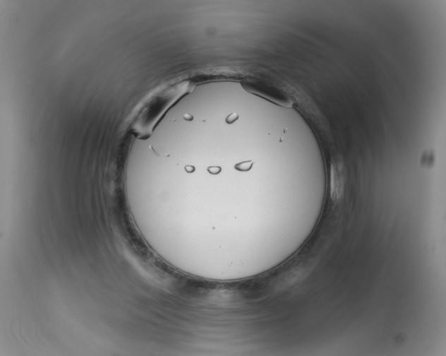 X0000113160204200909251401