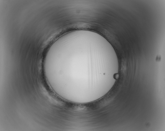 X0000113160206200909251401