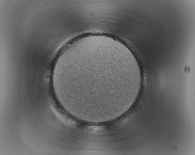 X0000113160208200909251401