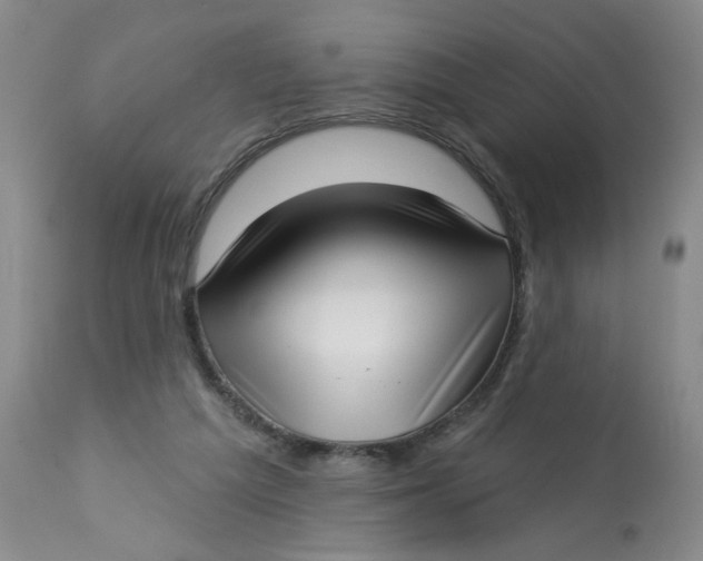 X0000113160209200909251401