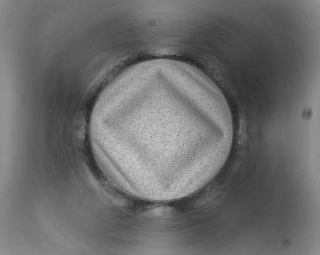 X0000113160210200909251401