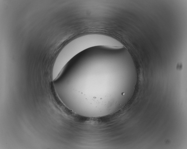 X0000113160211200909251401