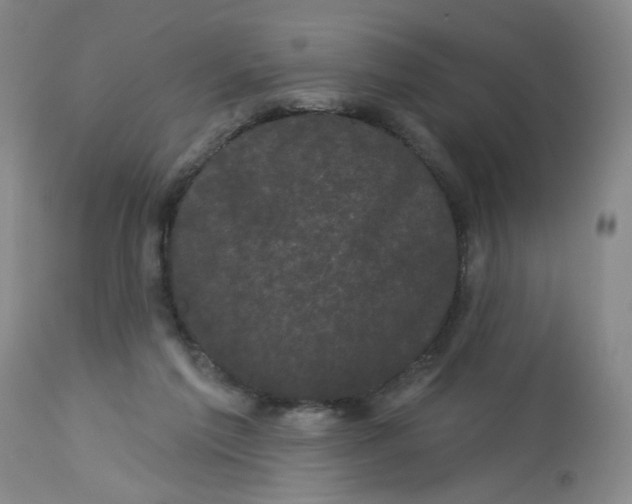 X0000113160213200909251401