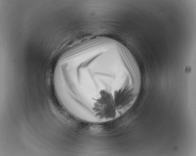 X0000113160214200909251401