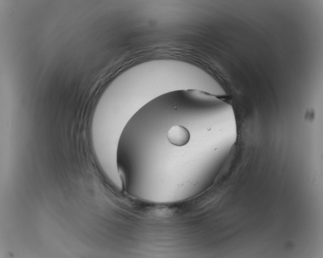 X0000113160217200909251401