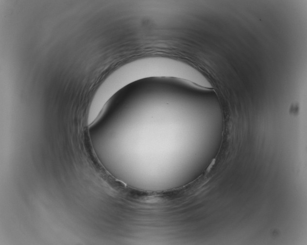 X0000113160219200909251401