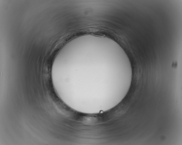 X0000113160220200909251401