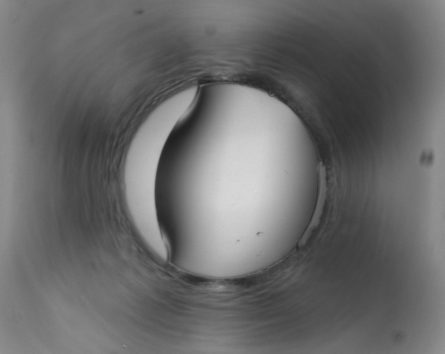 X0000113160221200909251401