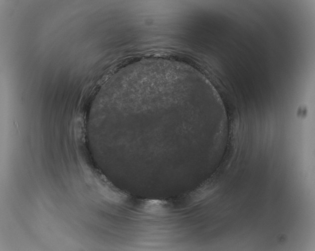 X0000113160222200909251401