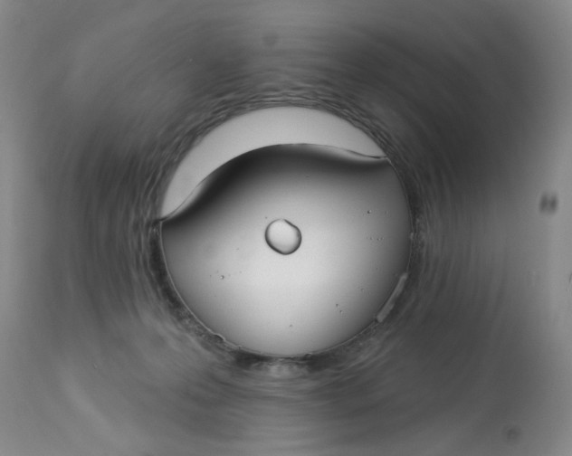 X0000113160223200909251401