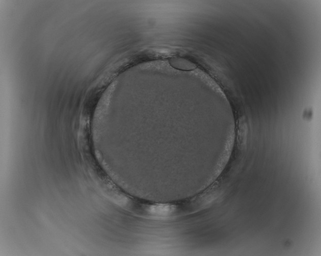 X0000113160225200909251401