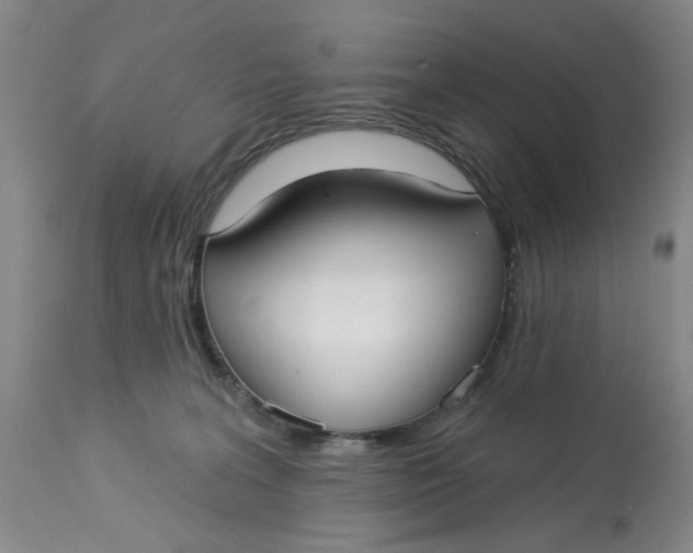 X0000113160227200909251401