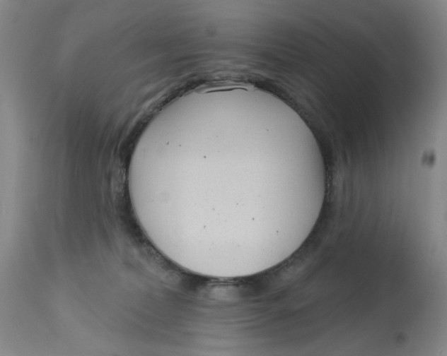 X0000113160228200909251401