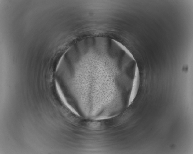 X0000113160230200909251401