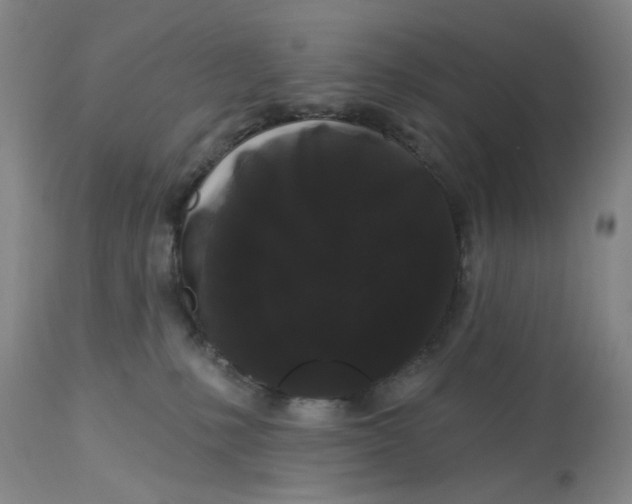 X0000113160231200909251401