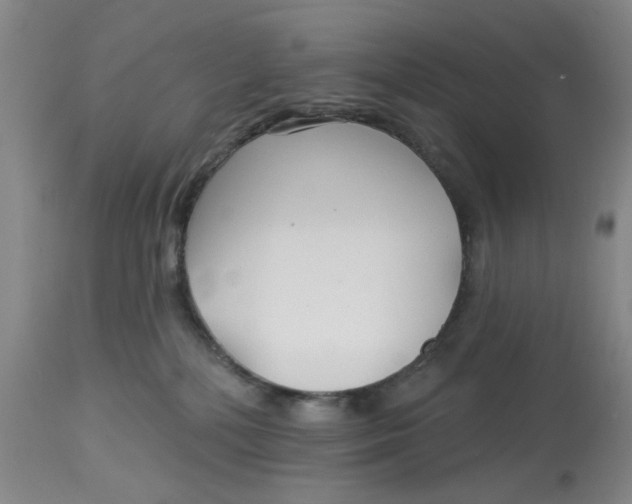 X0000113160232200909251400