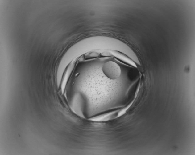 X0000113160233200909251400