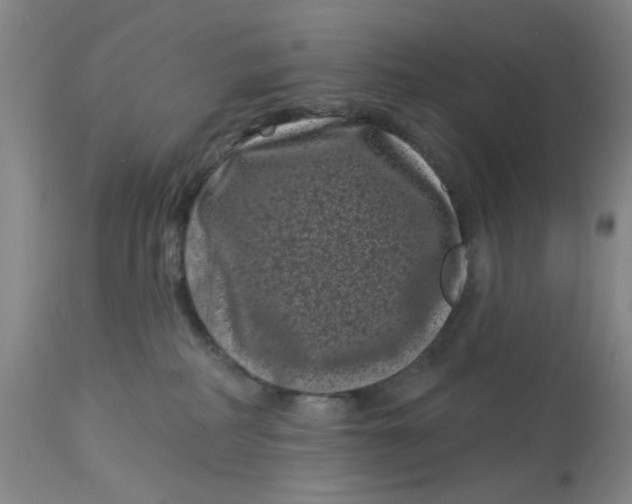 X0000113160234200909251400