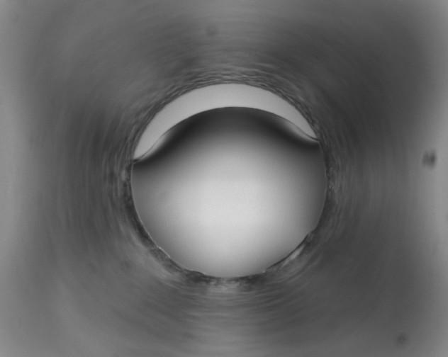 X0000113160235200909251400