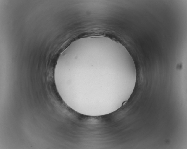 X0000113160236200909251400