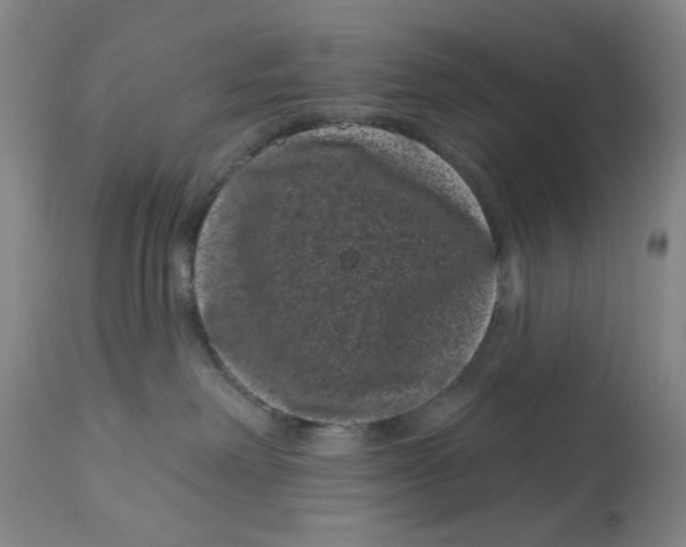 X0000113160238200909251400