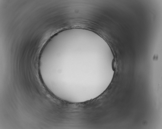 X0000113160241200909251359