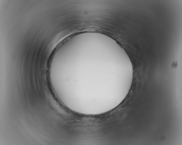 X0000113160242200909251359