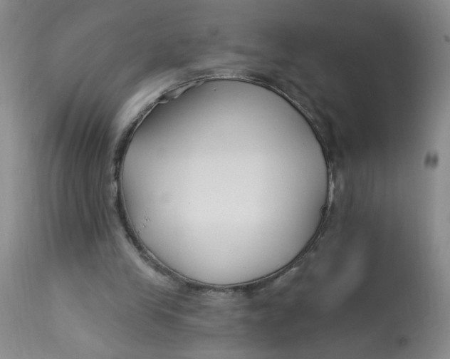 X0000113160245200909251359