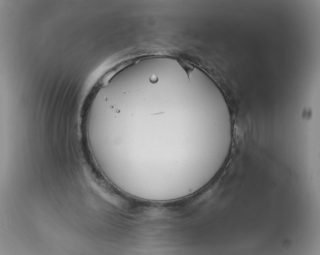 X0000113160246200909251359