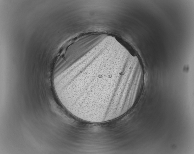 X0000113160249200909251359