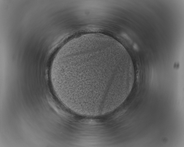 X0000113160254200909251359