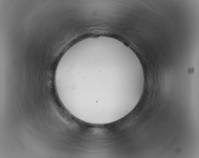 X0000113160255200909251359