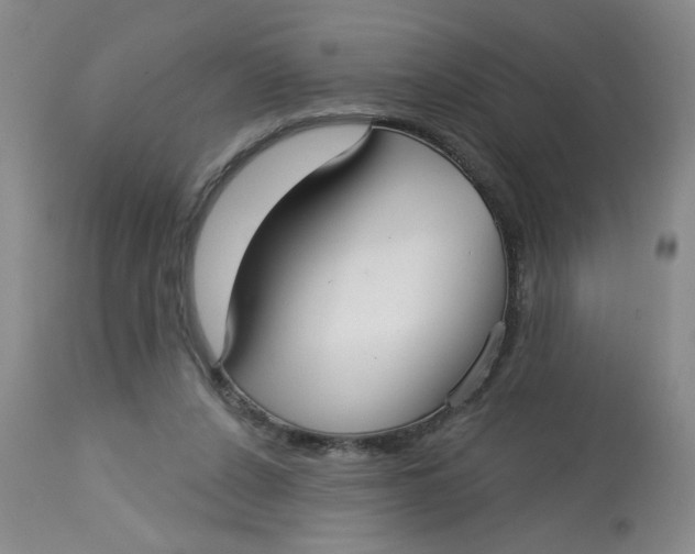 X0000113160256200909251359