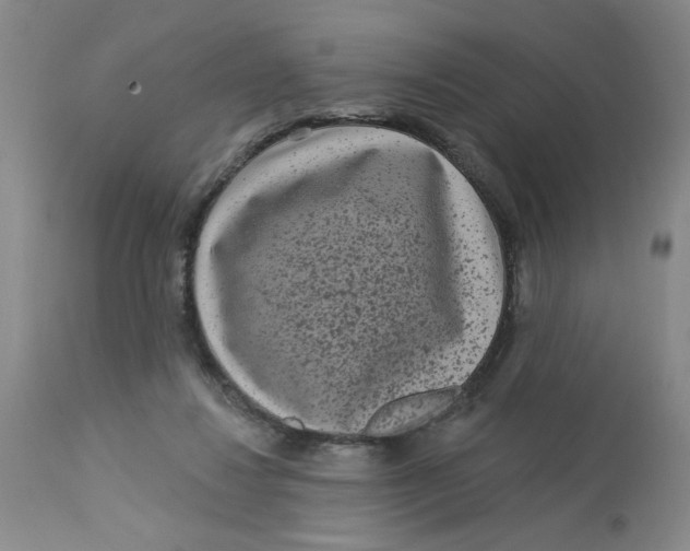 X0000113160260200909251359