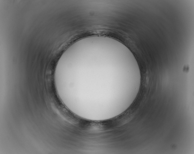 X0000113160263200909251400