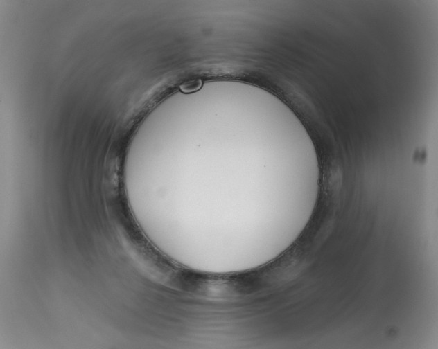 X0000113160264200909251400