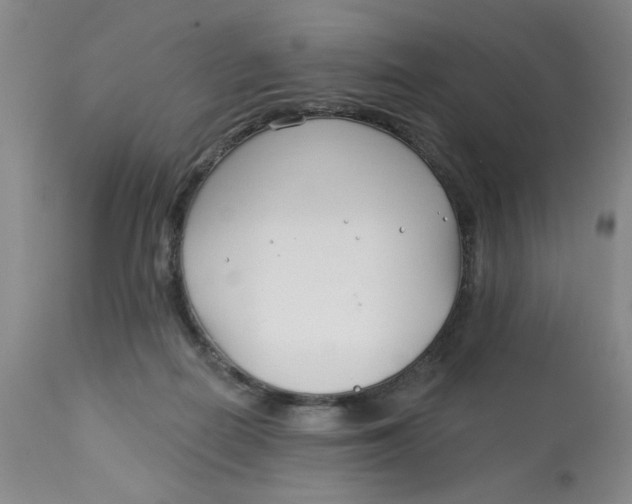 X0000113160266200909251400