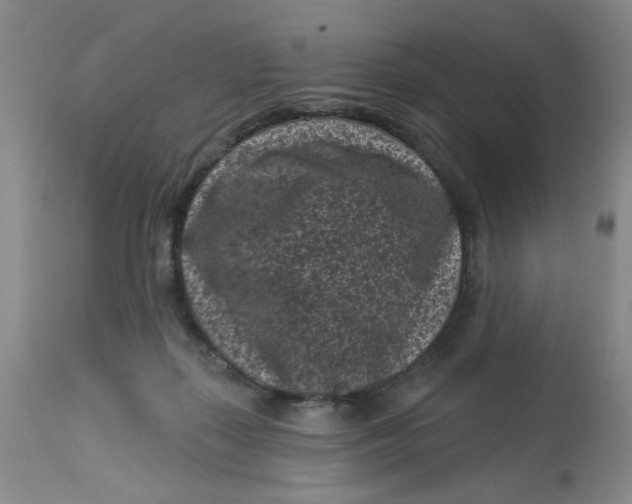 X0000113160267200909251400