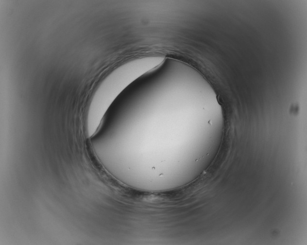 X0000113160268200909251400