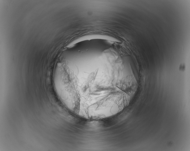 X0000113160269200909251400