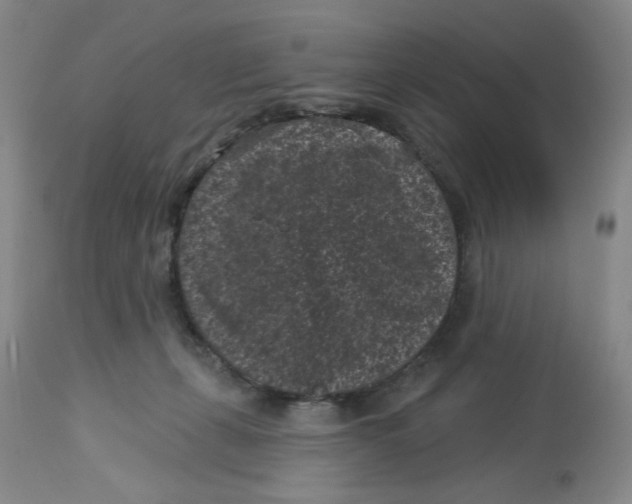 X0000113160271200909251400