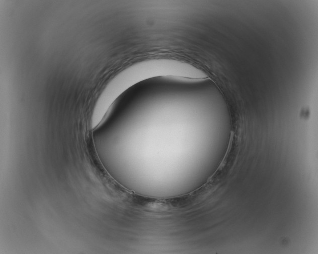 X0000113160272200909251400