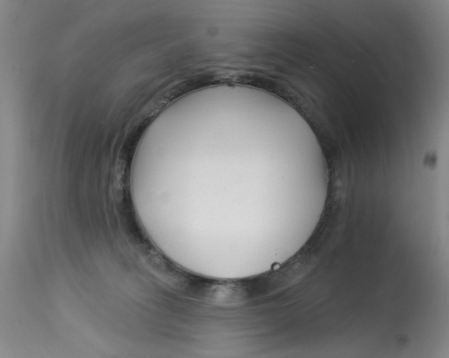 X0000113160275200909251400